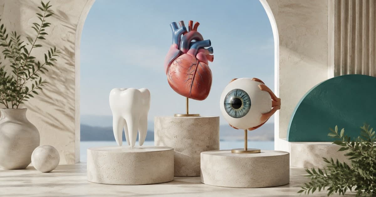 AI-generated illustration of educational tooth, heart and eye models on stone plinths