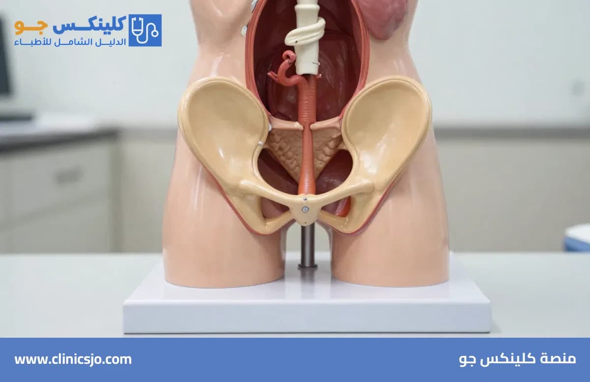 اضطرابات الإحليل: الأسباب، الأعراض، وطرق التشخيص والعلاج - منصة كلينكس جو